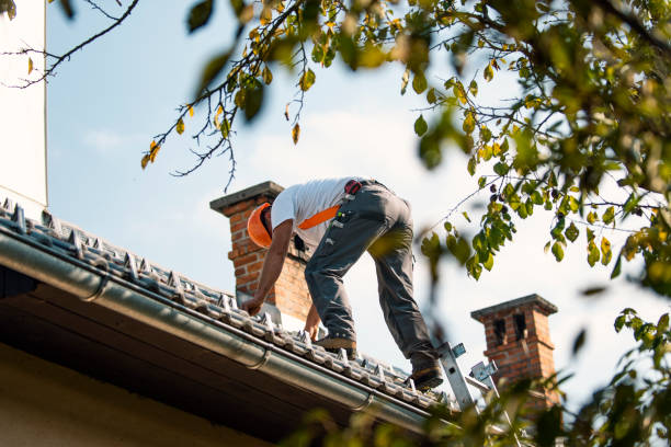 Best Roof Gutter Cleaning  in Dunlap, IA
